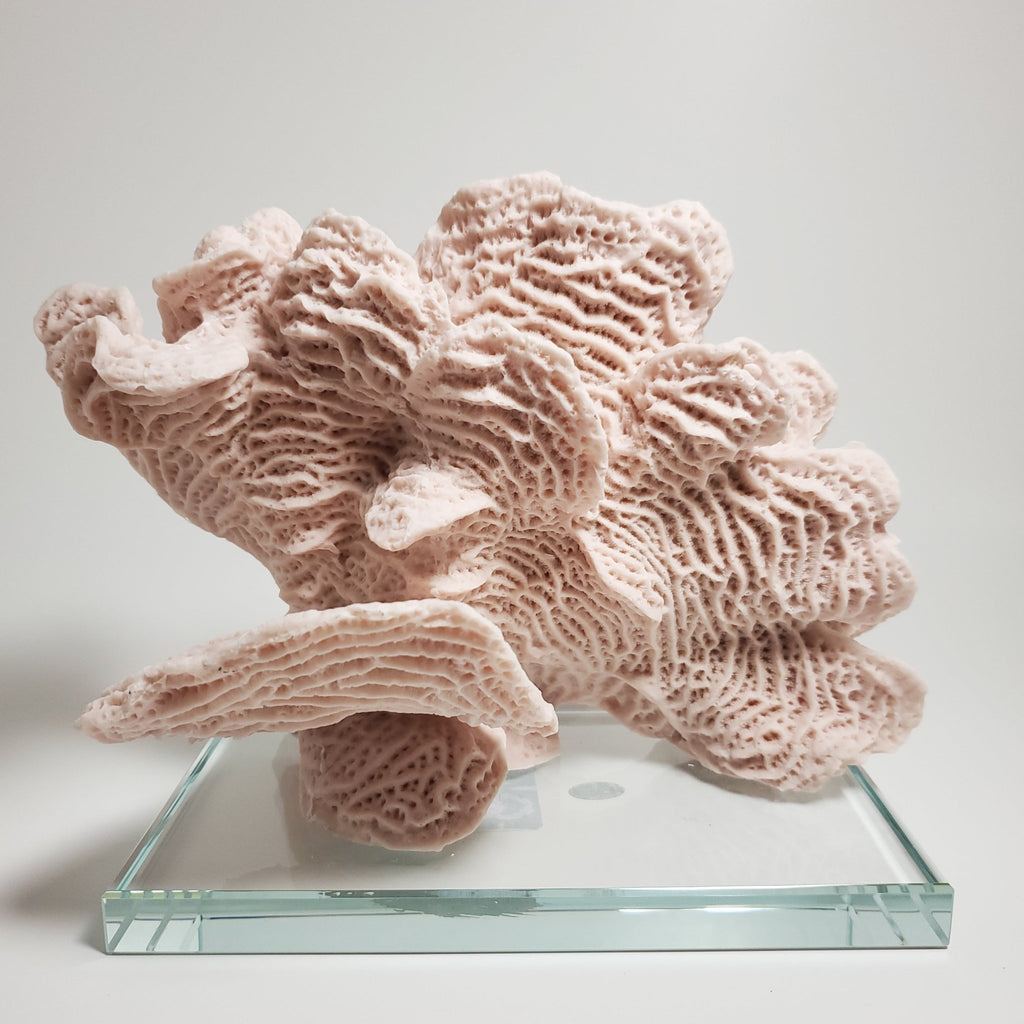 Blush pink coral decorative accent for coastal home décor front view