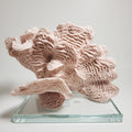 Blush pink coral decorative accent for coastal home décor front view